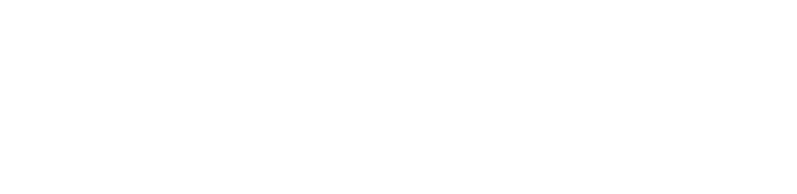 LOGOATUALIZADO-LAMEIRA_0000_logotipo-LAMEIRA-17
